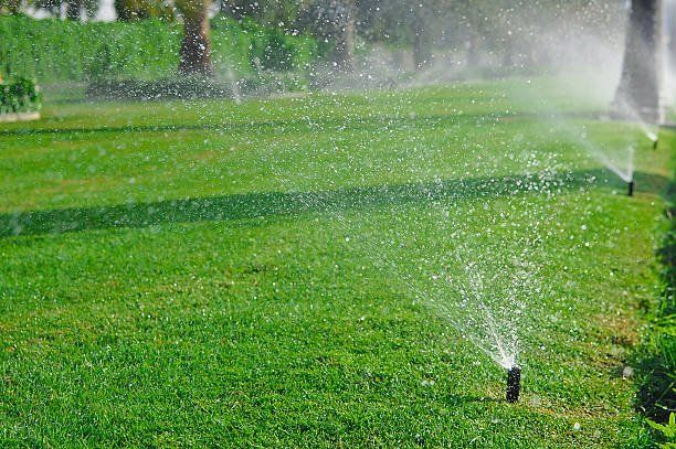 Images Steve's Lawncare and Construction