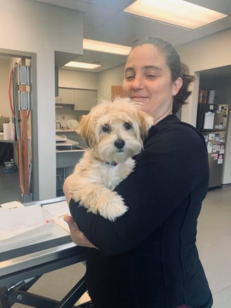 Images West Side Veterinary Hospital