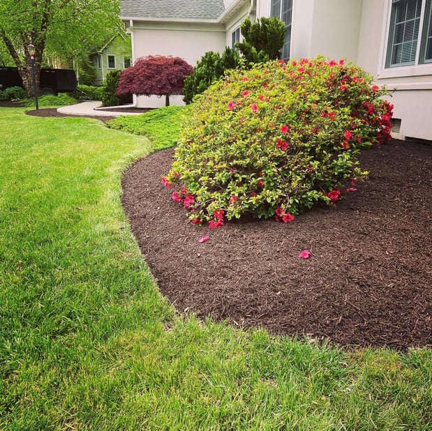 Images Barr Landscaping