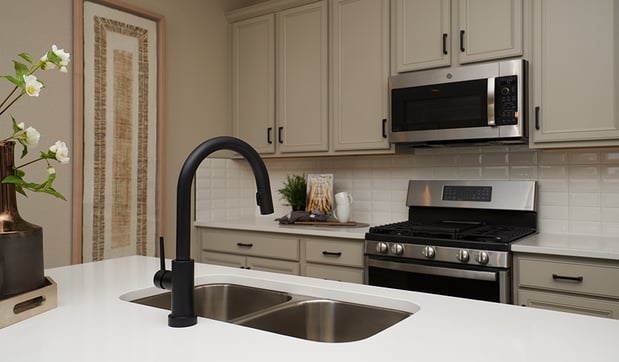 Images Buckley Yard by Richmond American Homes