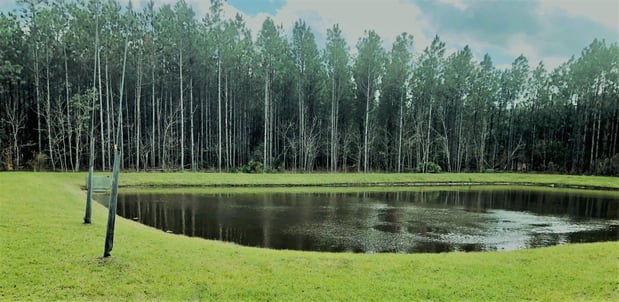 Images Tater Farms, LLC