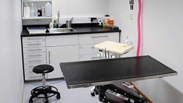 Images Stokke Dyreklinikk AS