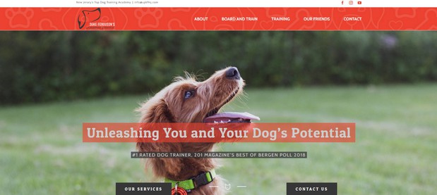 Images Brian Lawrence Web Design & SEO