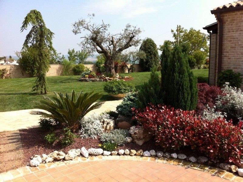 Images Full Garden