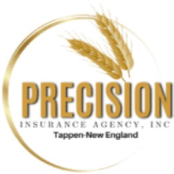 Precision Insurance Agency, Inc Logo