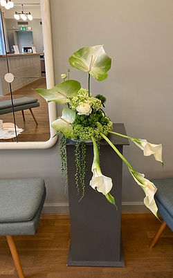 Emilia Mihalydeakpal DaMa Pflanzendesign, Felsplattenstrasse 24 in Basel