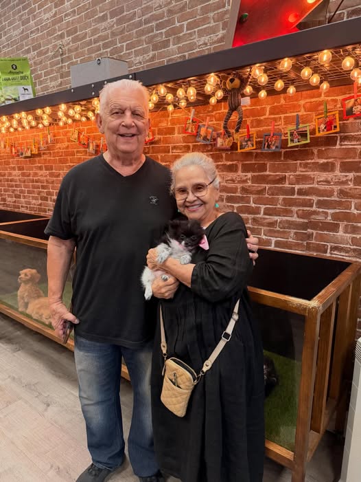 Puppies Direct Image