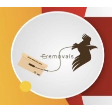 company logo