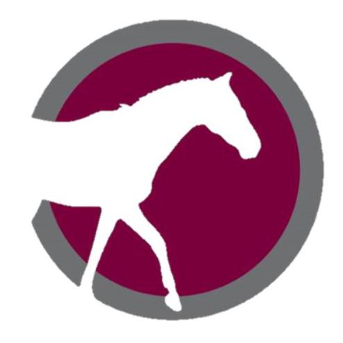 Hampden Vets, Barrettstown Equine Clinic Logo