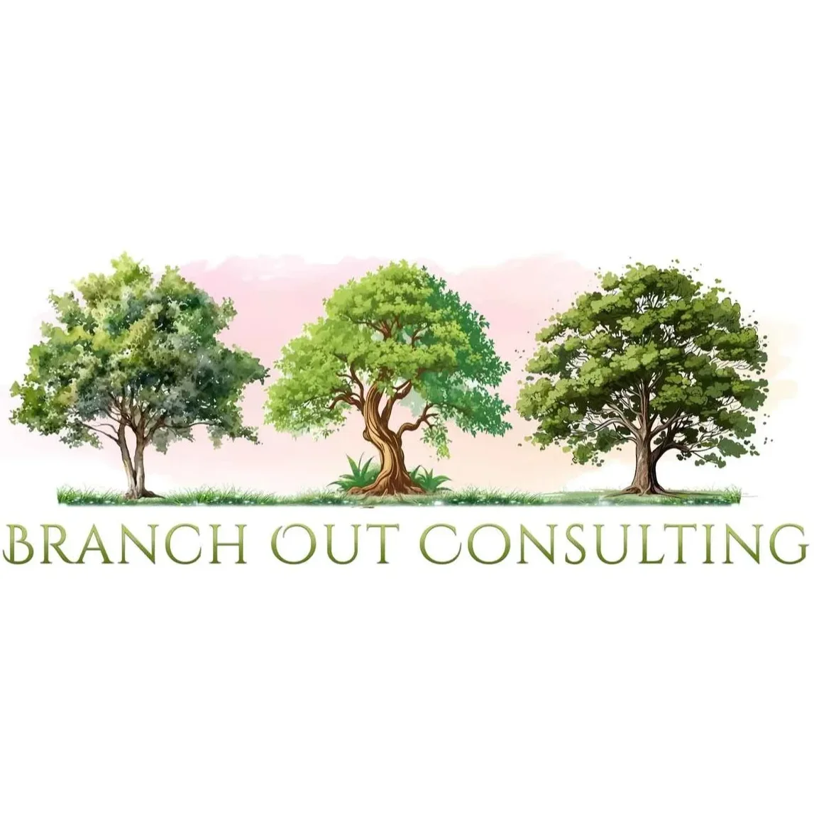 Branch Out Consulting