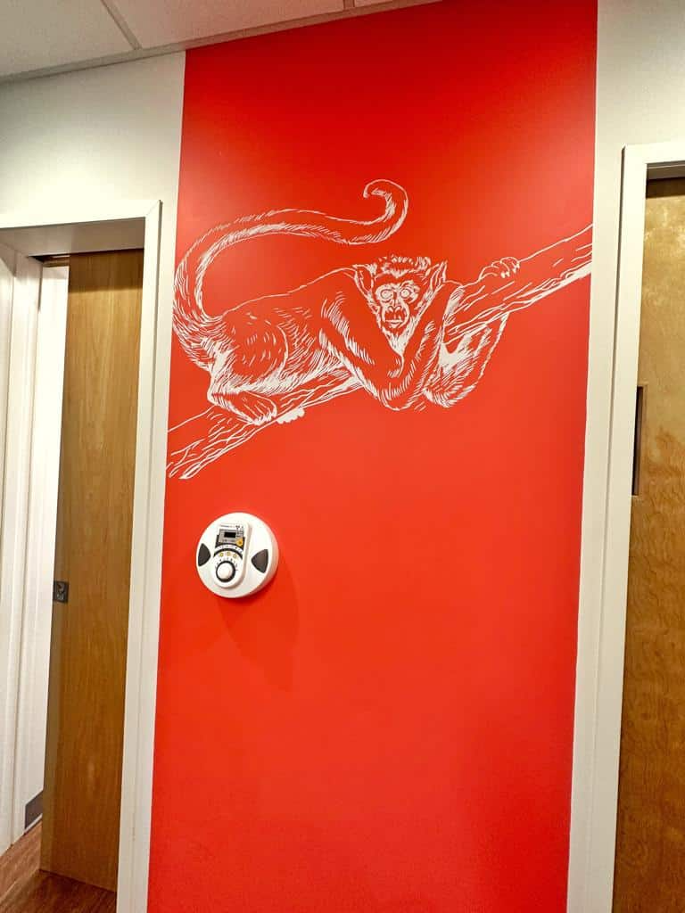 Montgomery Pediatric Dentistry Image