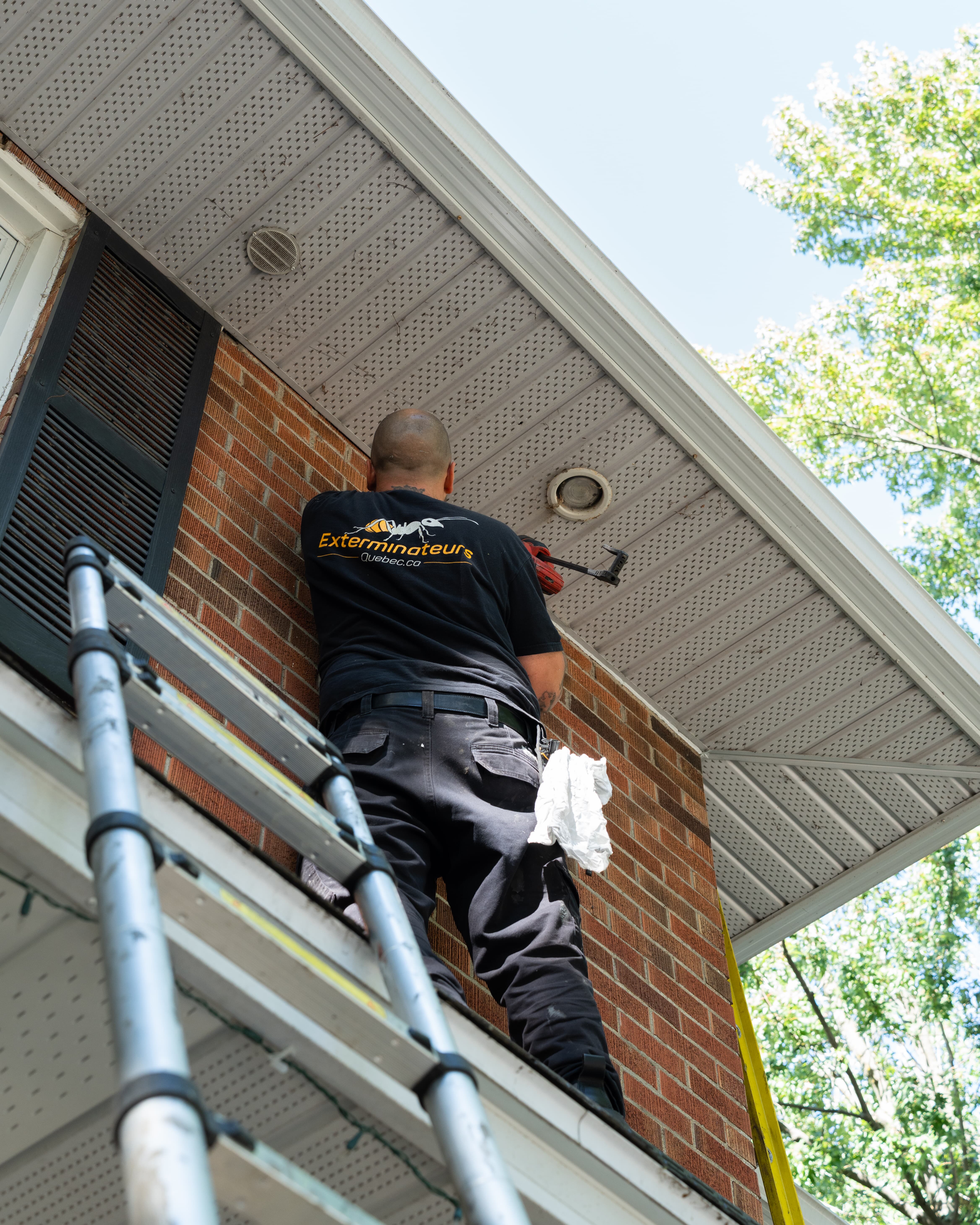 Images Exterminateurs Québec