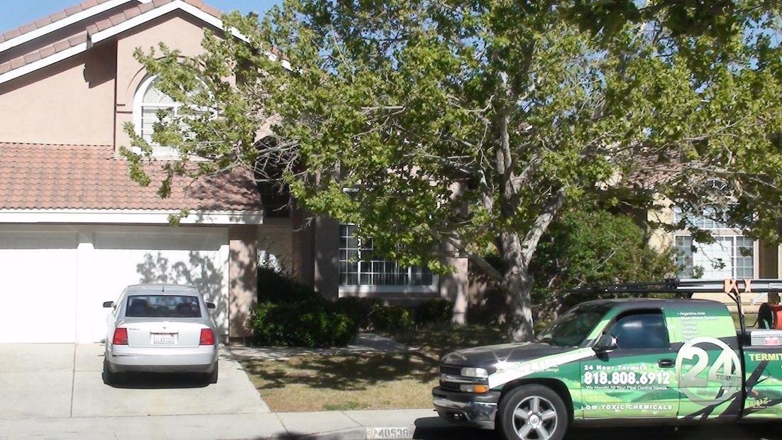 24 Hour Termite and Pest