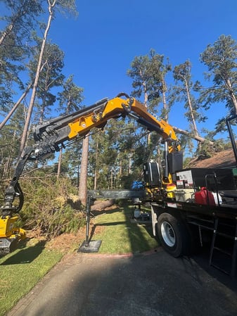 Images A1 Tree Removal