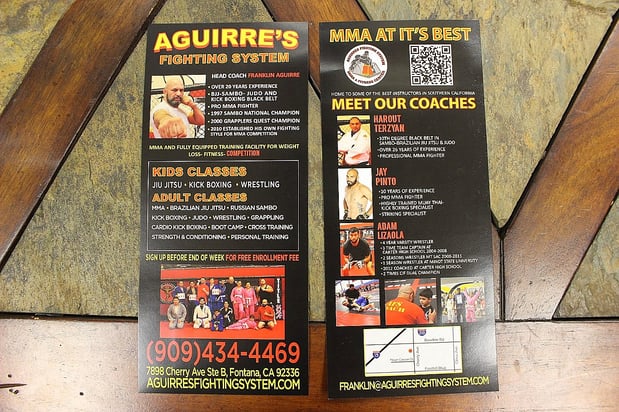 Images Aguirre's Fighting System