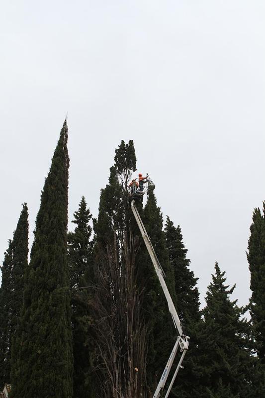 Images Caporale Roberto Giardini Caporale