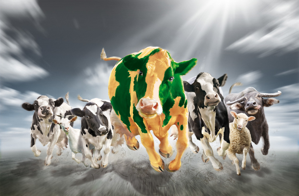 GEA Suisse AG, Industrie Neuhof 28 in Kirchberg BE