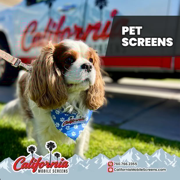 Images California Mobile Screens – Window & Door Screen Services