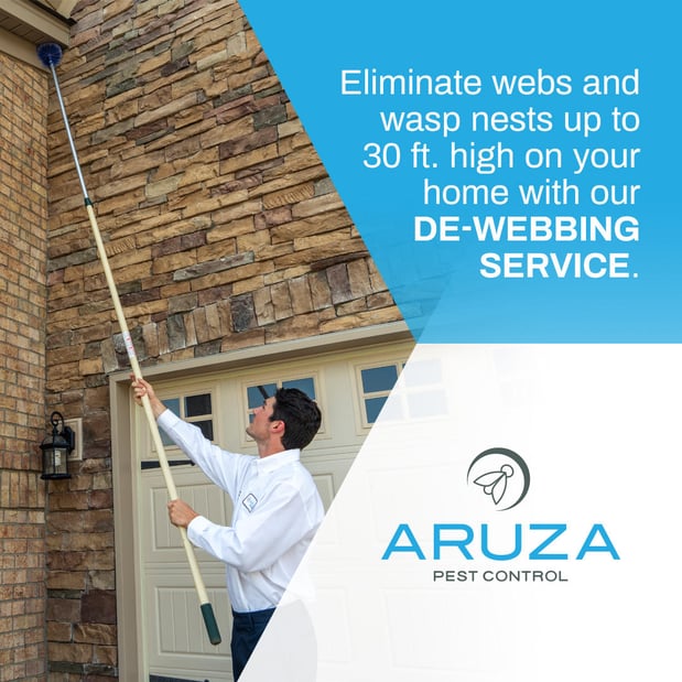 Images Aruza Pest Control
