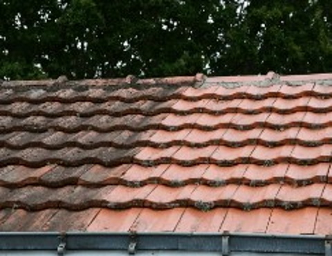 All Ireland Roof Cleaning 2