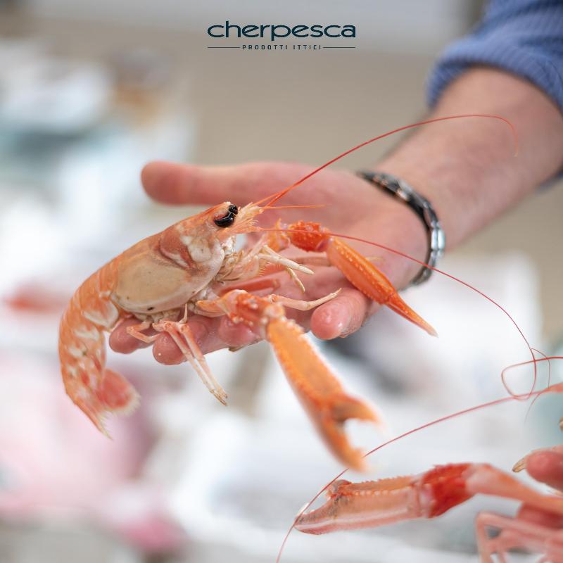 Images Cherpesca Srl
