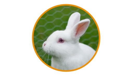 Images Eläinklinikka Tassuvaara Oy