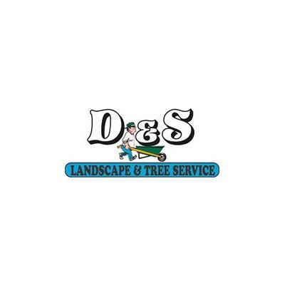 D&S Tree Service Logo