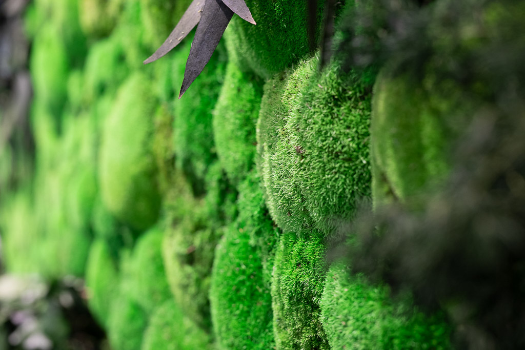 ambientech GmbH, Pestalozzistr. 54 in Diedorf