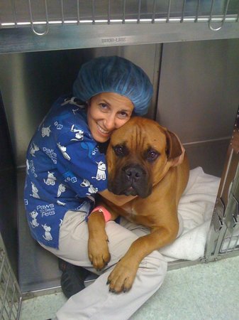 Images VCA Animal Healing Center