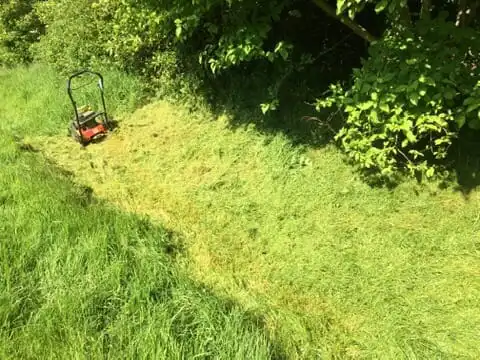 Images Gareth Shallcross