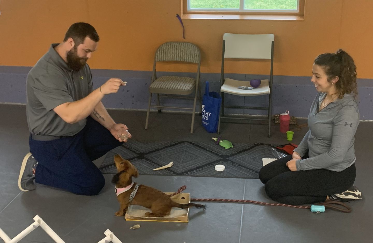 Dog Boarding, Dog Grooming, Dog Training, Pet Supply Store Vergennes VT