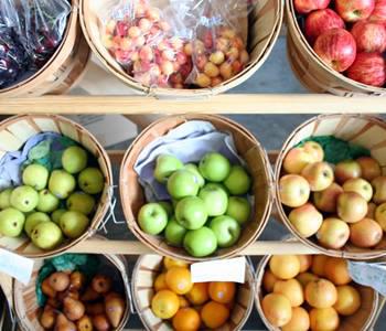 Teddy Bear Fresh Produce Photo