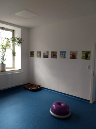 Hundehort Wien, Lange Gasse 58/1-4 in Wien