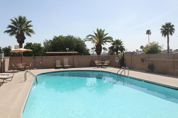 Images Whispering Palms