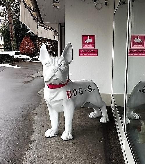 DOG-S.ch, Bahnhofwiese 5 in Stäfa