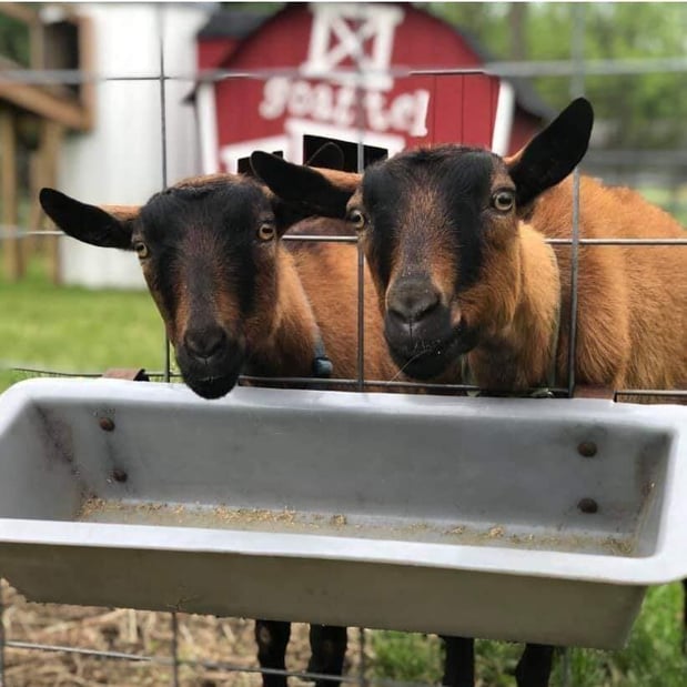 Images Von Thun Farms