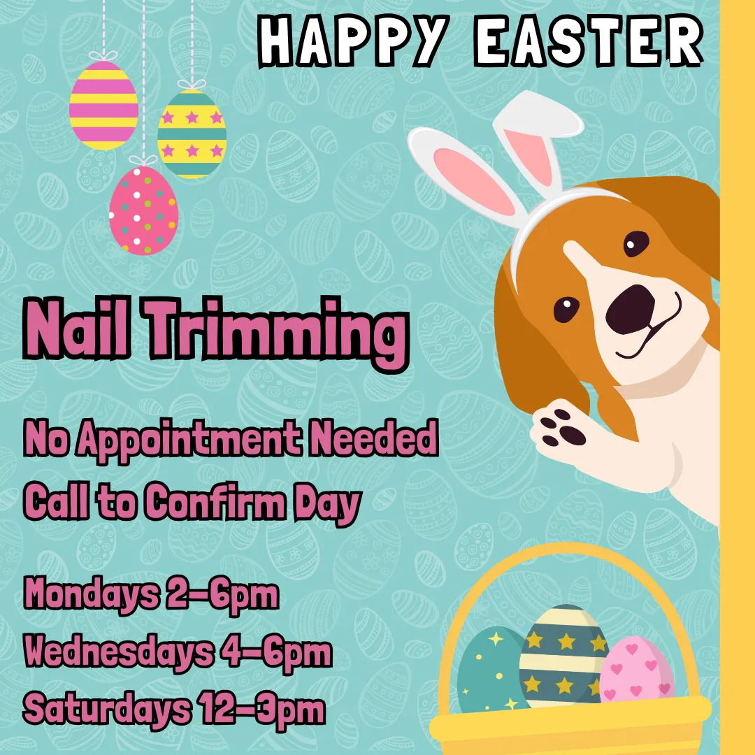 Image of Local Pet Event April nail trimming Nearby