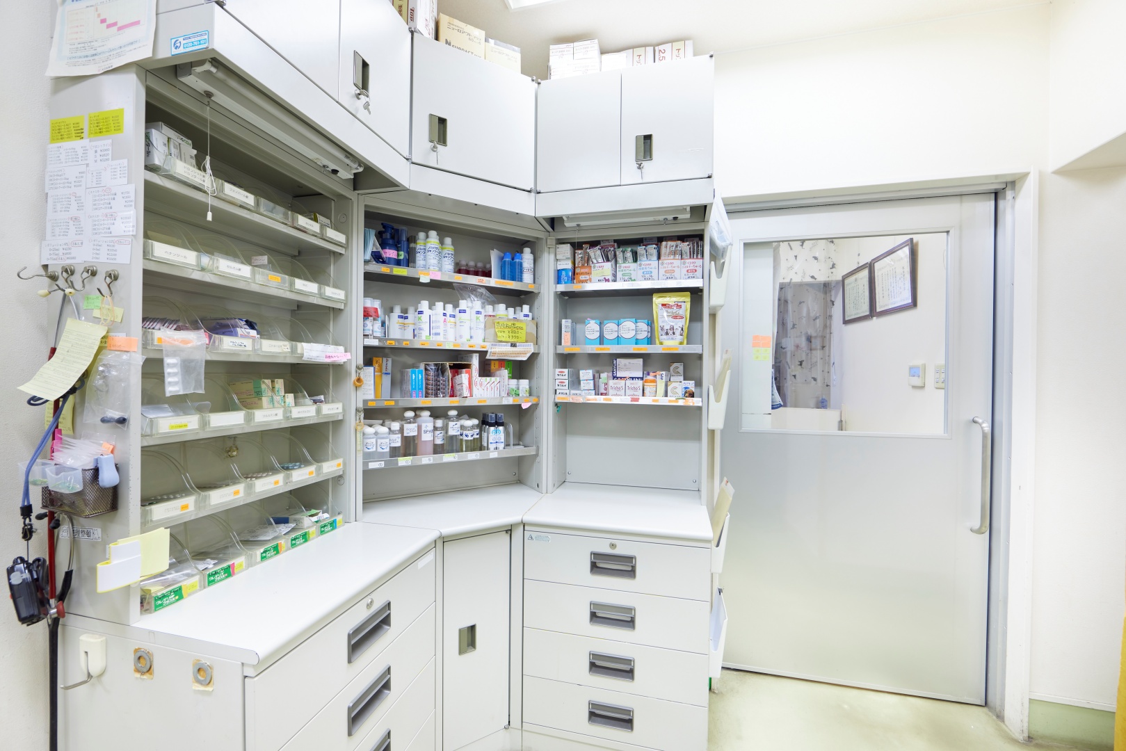 Images 江島動物病院 PAL動物病院グループ