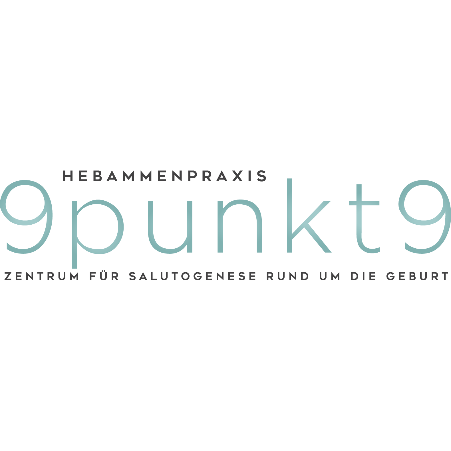 9punkt9 GmbH Logo