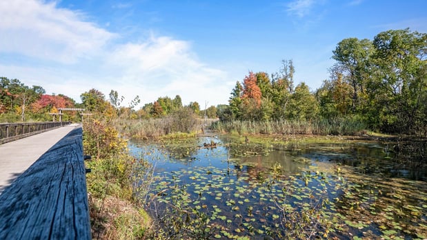 Images Edgewood by Toll Brothers - Closed