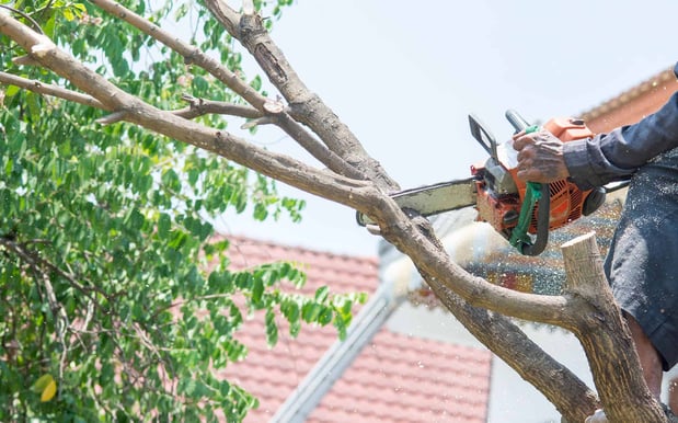 Images Meyer Tree Service