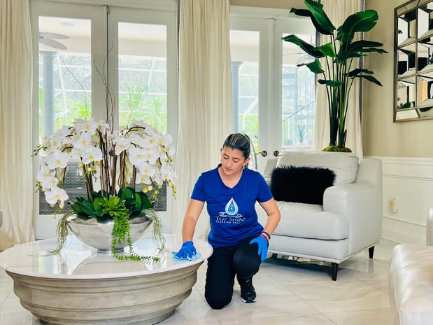 Images Top Shine Cleaning Services