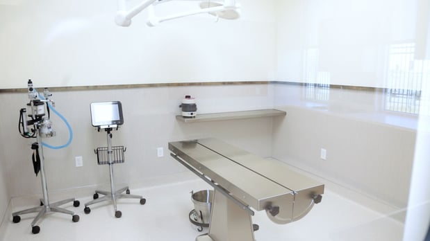 Images VCA Mainland Animal Hospital