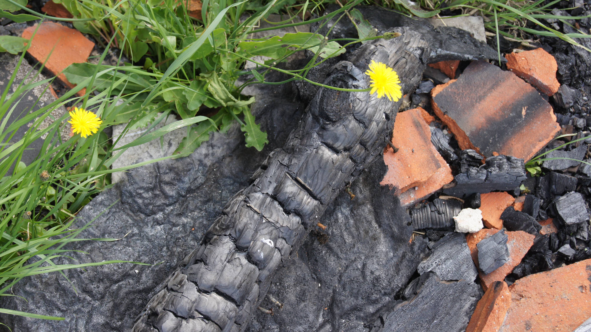 Stahlbrandschutz GmbH, Amselweg 4 in Barleben