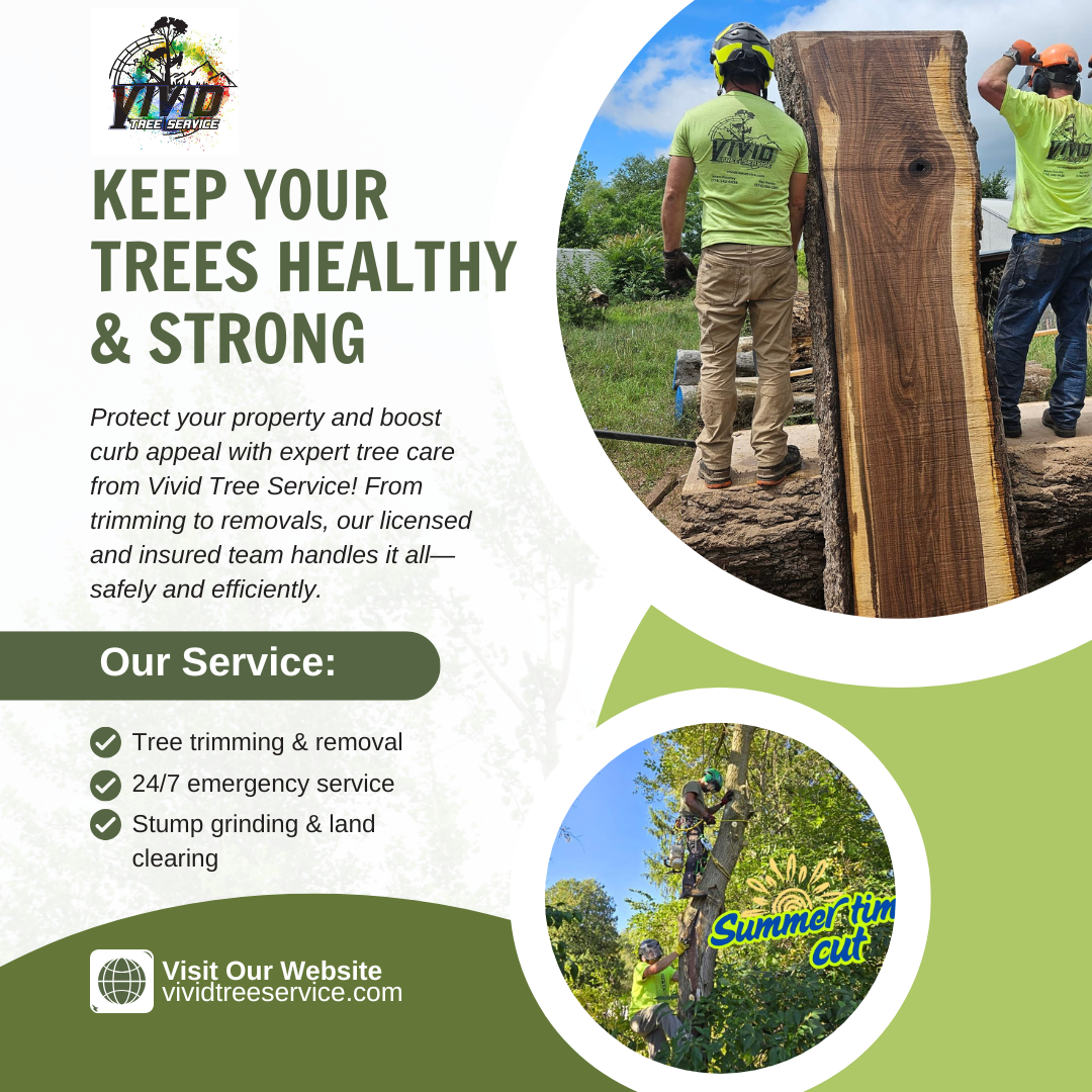 Vivid Tree Service Image