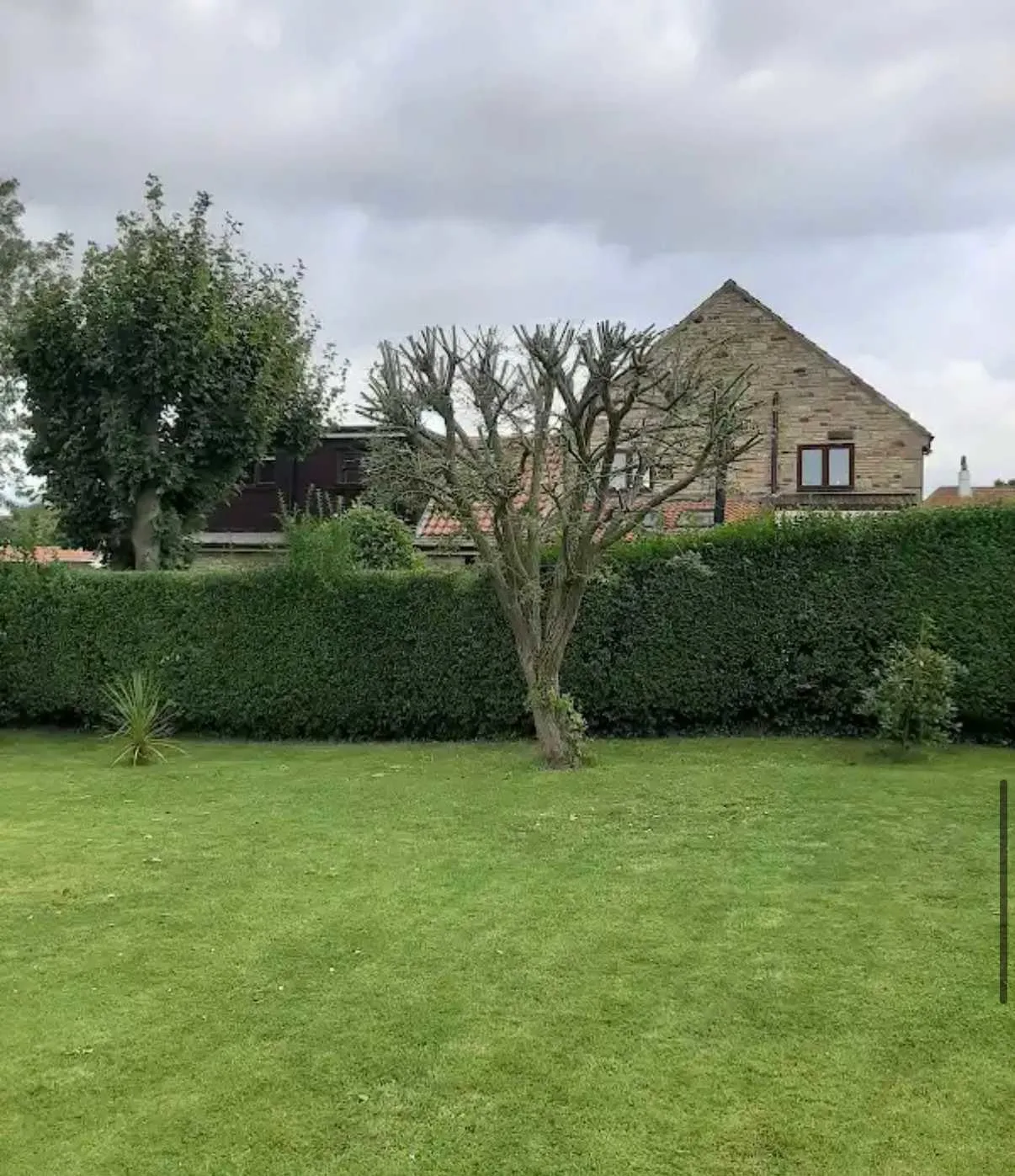 Images Tree Doctors & Landscaping