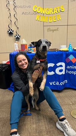 Images VCA West Los Angeles Animal Hospital