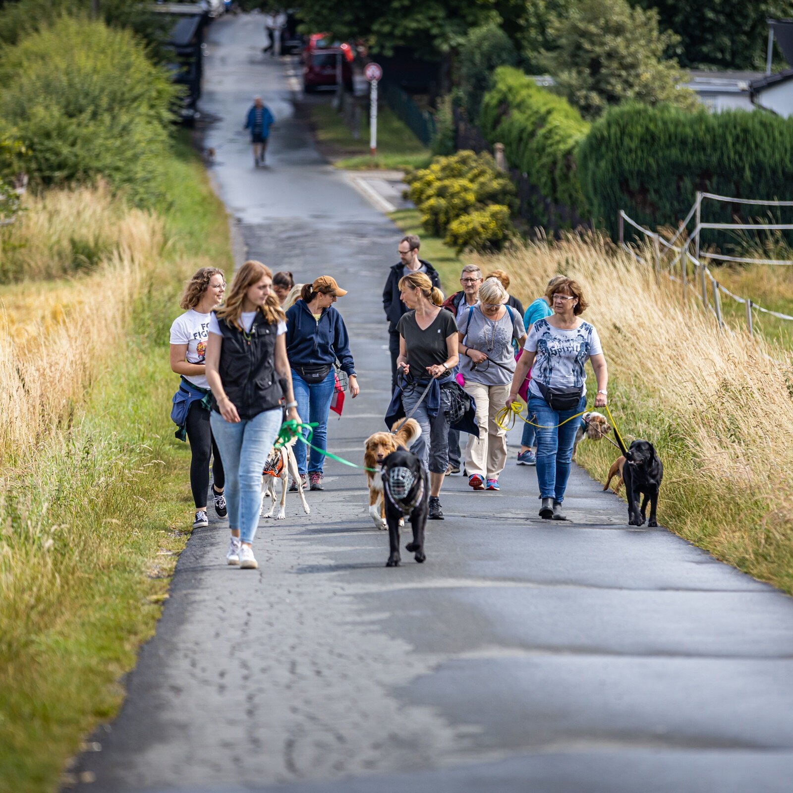 Hundetraining Zum Dream-Team in Castrop-Rauxel
