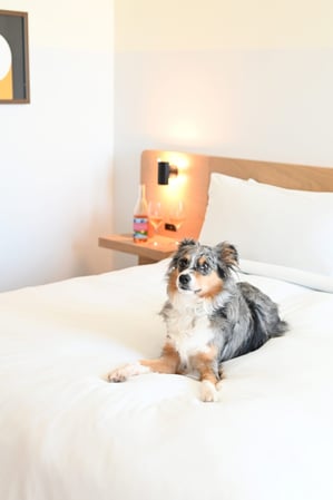 Images Hotel June West LA