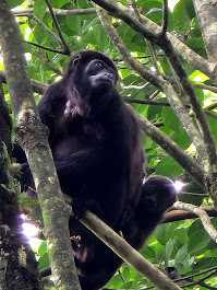 Images Voyage Crafter, A Cruise Planners Franchise